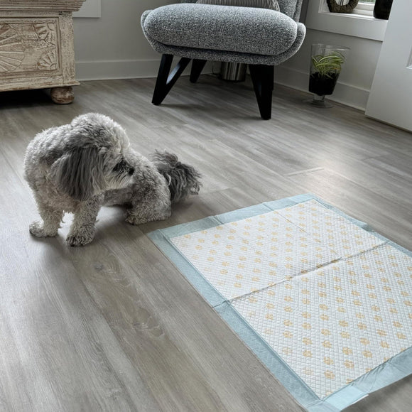 Dr. Bales Early Detection Health Monitoring Pee Pads for Dogs (22in x 22in)