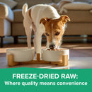 Dr. Marty Nature’s Blend Essential Wellness Small Bites Freeze Dried Raw Dog Food - Dog Food 5