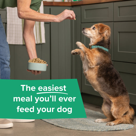 Dr. Marty Nature’s Blend Essential Wellness Small Bites Freeze Dried Raw Dog Food - Dog Food 6