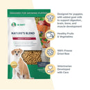 features of Dr. Marty Nature's Blend Healthy Growth Freeze Dried Raw Food for Puppies