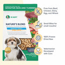 Dr. Marty's Nature's Blend dog food package with features highlighted on a white background