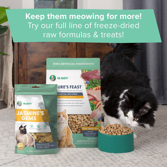 Dr. Marty Nature’s Feast Essential Wellness Poultry Freeze Dried Raw Cat Food - Cat Food 11