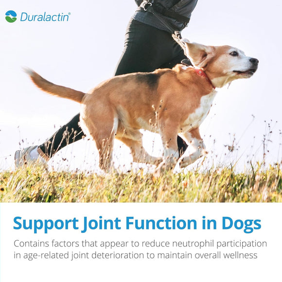 Duralactin® Canine Chewable Joint Health Supplement Tablets for Dogs