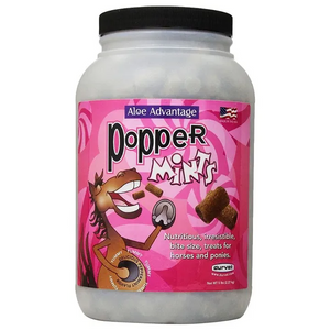 Durvet PopperMints Horse Treats (5 lb) - 1