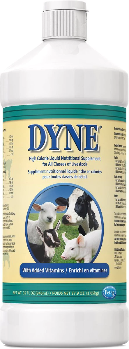 Dyne High Calorie Liquid Livestock Supplement - 32 oz - Livestock Supplements 6