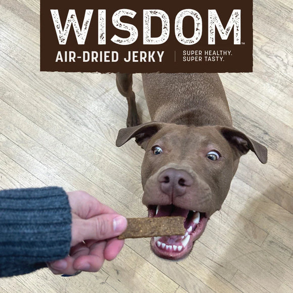 Earth Animal Air-Dried Jerky Recipe Dog Treats 4-oz - Dog Treats 9