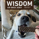 Earth Animal Air-Dried Jerky Recipe Dog Treats 4-oz - Dog Treats 13
