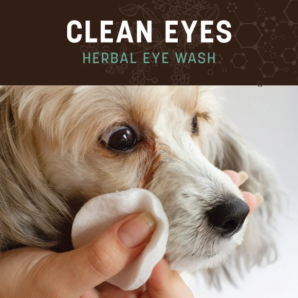 Earth Animal Clean Eyes Herbal Eye Wash for Dogs & Cats 4-oz - Dog Health Care & Wellness 2