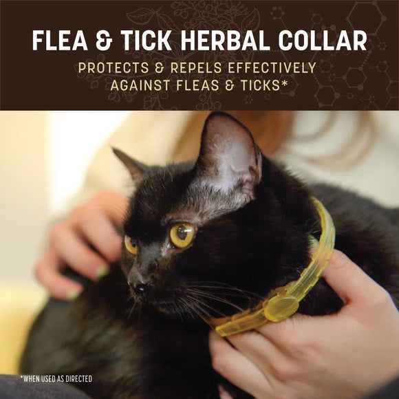 Earth Animal Flea & Tick Herbal Collar for Cats - Dog Health Care & Wellness 2