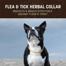 Earth Animal Flea & Tick Herbal Dog Collar - Dog Health Care & Wellness 4