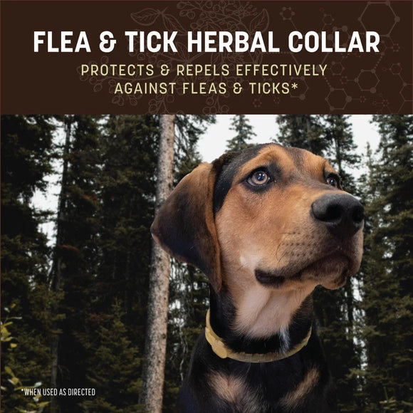 Earth Animal Flea & Tick Herbal Dog Collar - Dog Health Care & Wellness 7