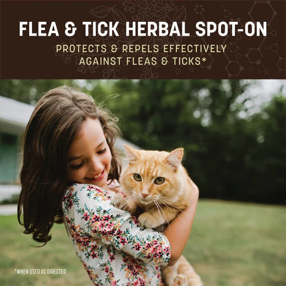 Earth Animal Flea & Tick Herbal Spot-On for Cats 3-count - Dog Health Care & Wellness 2