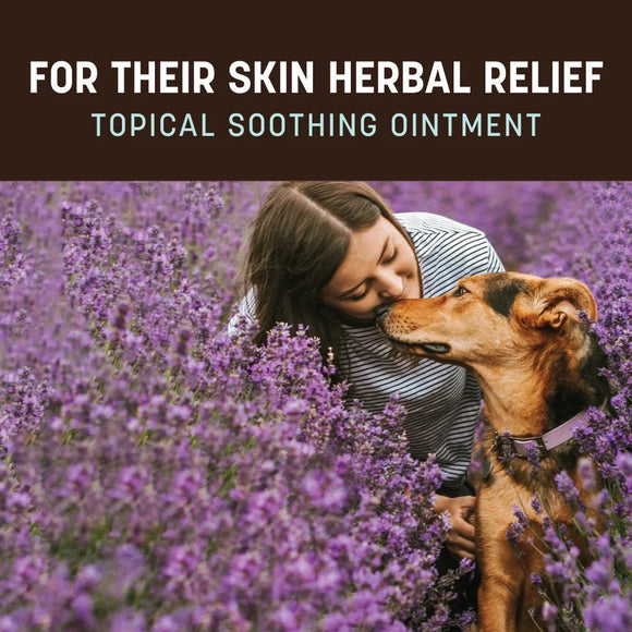 Earth Animal Skin Herbal Relief for Dogs & Cats 2-oz - Dog Supplements & Vitamins 2