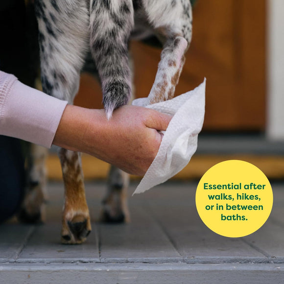 Earth Rated Hypoallergenic Dog Grooming Wipes -Lavender Scented (100 count)