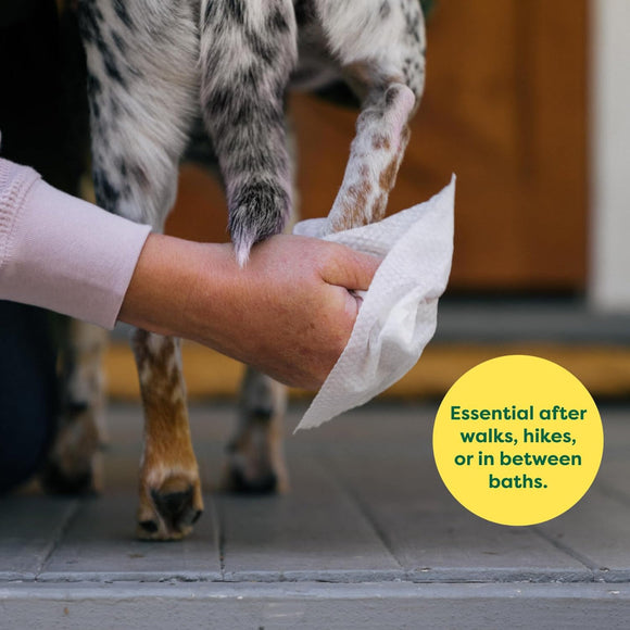 Earth Rated Hypoallergenic Dog Grooming Wipes -Unscented (100 count)