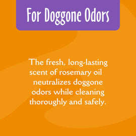 Earthbath Mediterranean Magic Deodorizing Shampoo for Dogs & Cats (16 oz) - Pet Shampoo & Conditioner 2