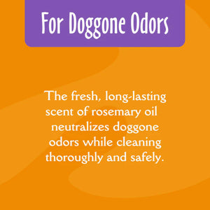 Earthbath Mediterranean Magic Deodorizing Shampoo for Dogs & Cats (16 oz) - Pet Shampoo & Conditioner 2