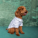 Doggie Design Halloween Camp Shirts Mummy for Dogs & Cats-3