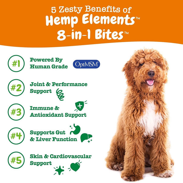 Zesty Paws Hemp Elements 8-in-1 Multifunctional Chicken Flavored Chews for Dogs (90 ct)