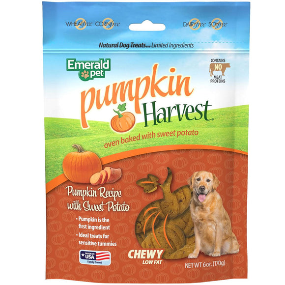 Emerald Pet Pumpkin Harvest Oven Baked with Sweet Potato Chewy Dog Treats 6-oz - Dog Treats 1