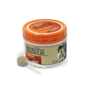 Equine Probiotic Granules Regular Strength (300g 30 servings) - Horse Health & Wellness 1