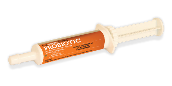 Equine Probiotic Paste (10 tubes) - Horse Health & Wellness 2