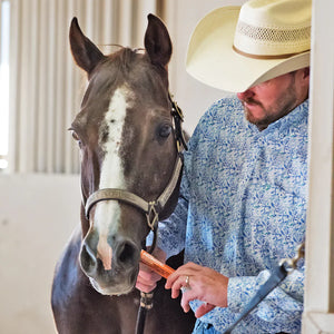 Equine Probiotic Paste (single) - Horse Health & Wellness 2