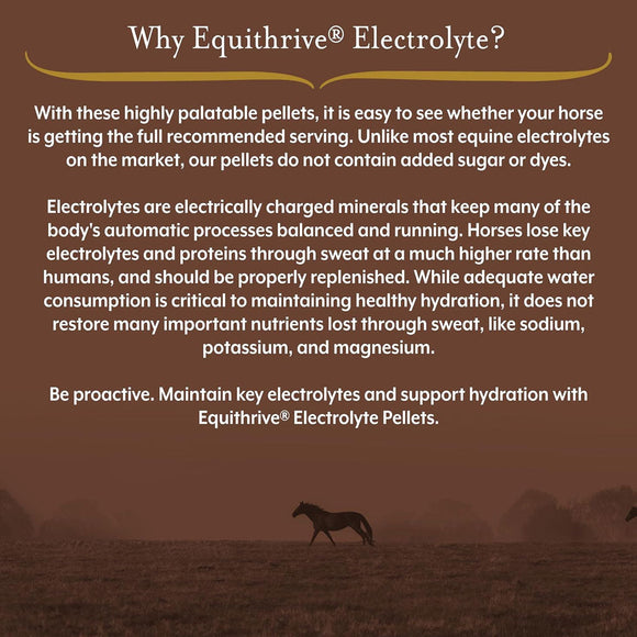 Equithrive Electrolyte Pellets Horse Supplements