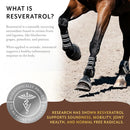 Equithrive Original Joint Powder Horse Supplements