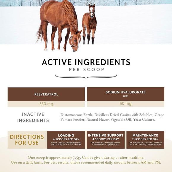 Equithrive Original Joint Powder Molasses Horse Supplements