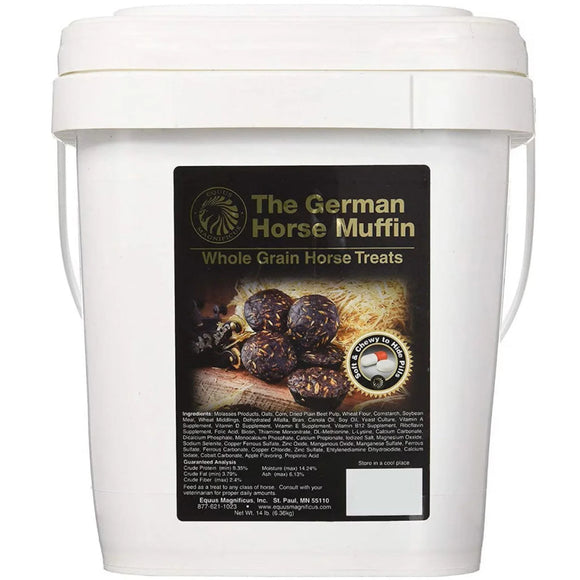 Close-up of Equus Magnificus The German Horse Muffin horse treats
