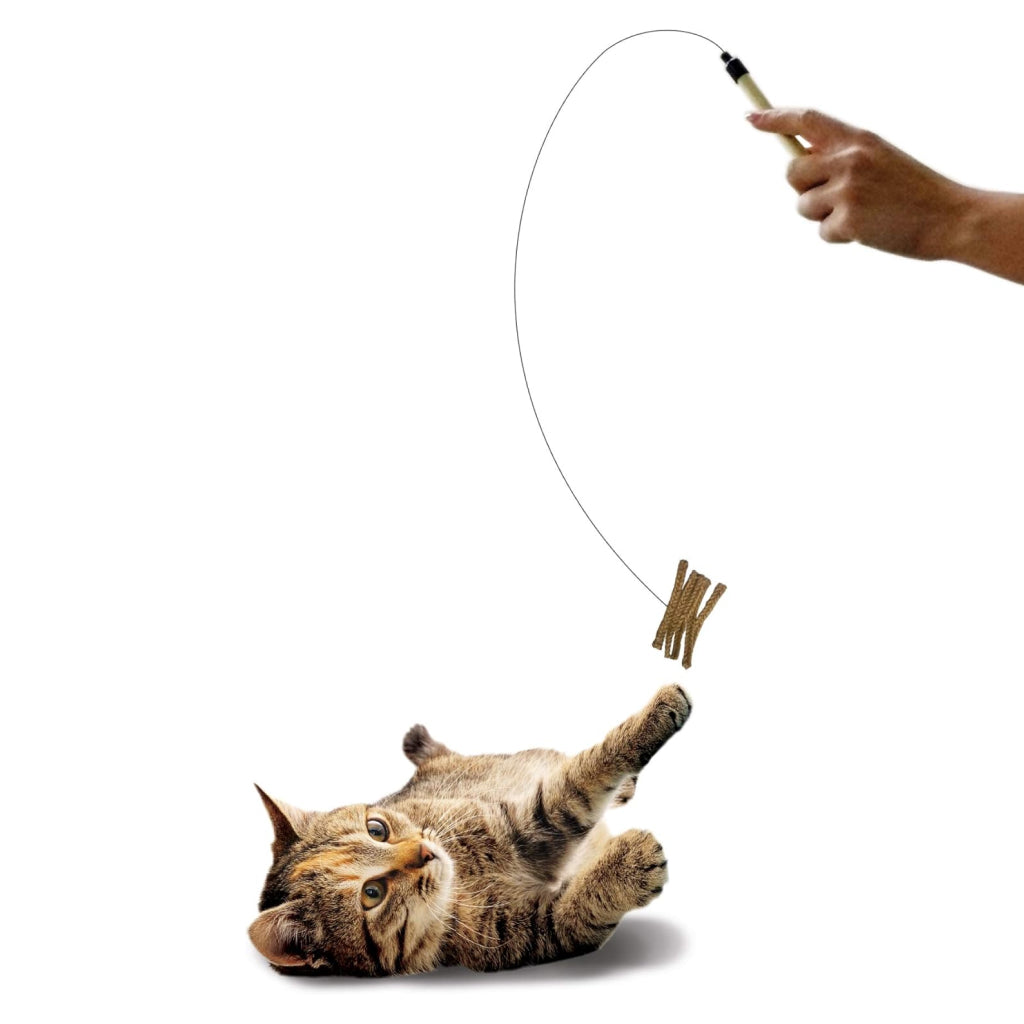Ethical Cat Prancer Wand for Cats – Exercise & Play for All Cats
