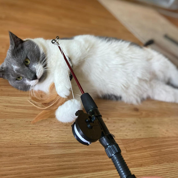 Ethical Fishing Rod N Reel Kitty Teaser Toy For Cat