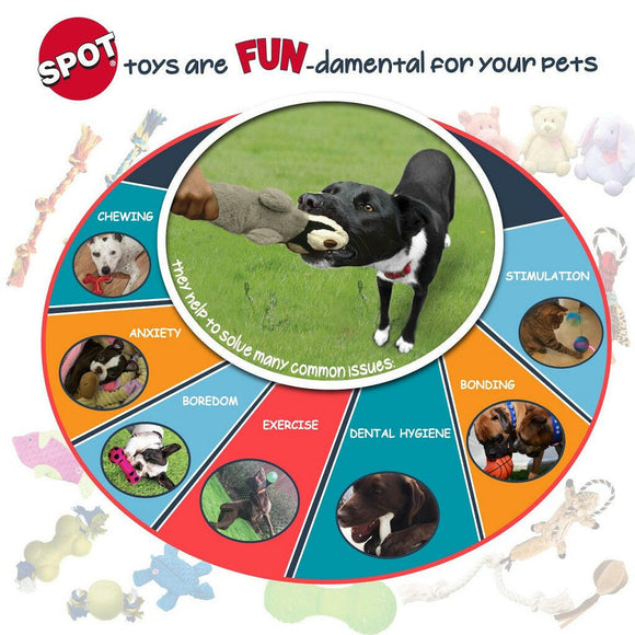 Ethical Bambone Chicken Flavor Toy For Dog 7.25"