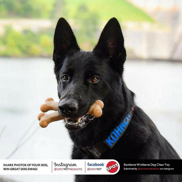 Ethical Bambone Wish Bone Chicken Flavor For Dogs (7")