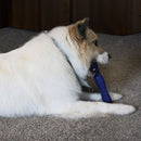 Ethical Pet Spot Barrett Tough Retriever Dog Toy