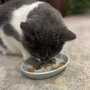 Ethical Pet Spot Best Friends Oval Cat Dish