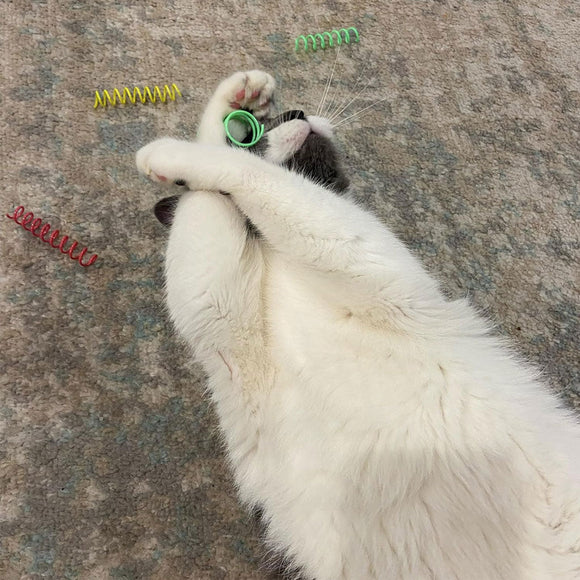 Ethical Pet Spot Colorful Springs Catnip Toy Thin, Assorted, 3"