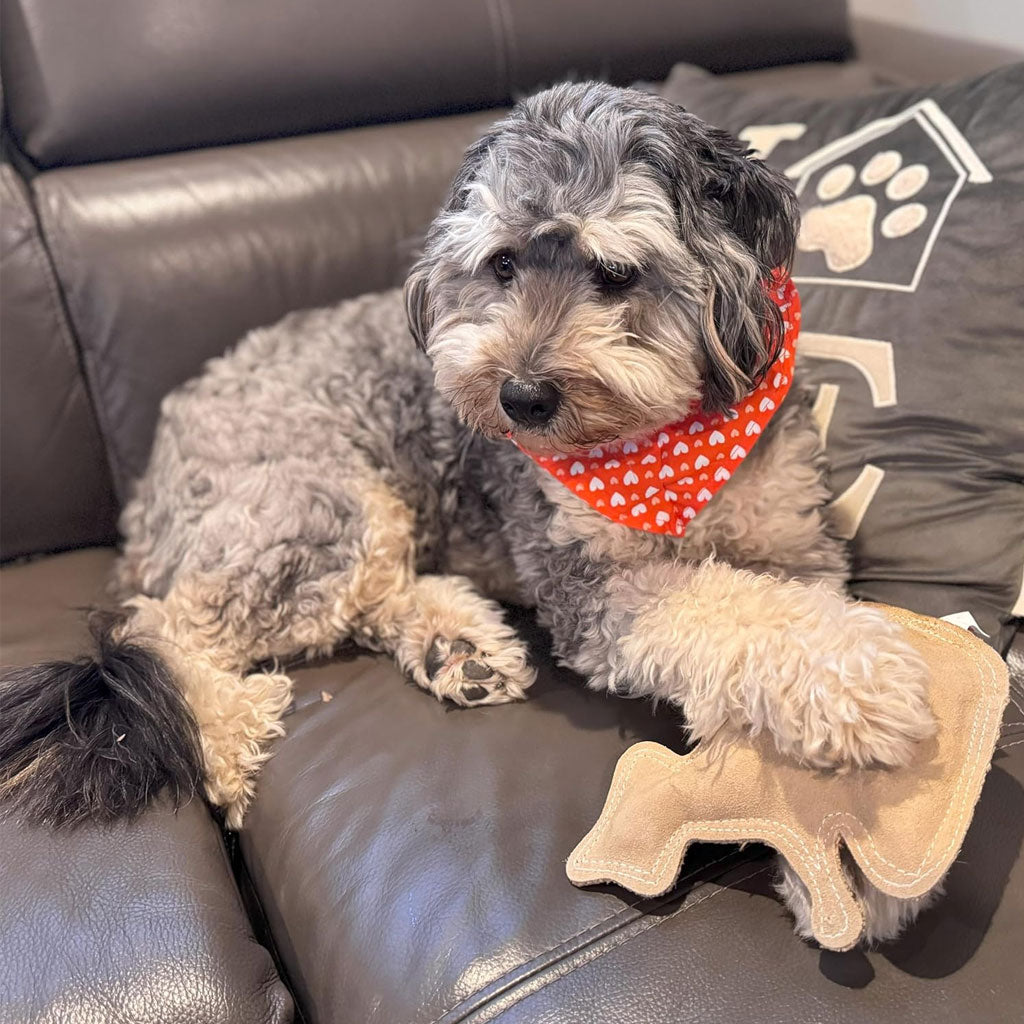 Spot Dura-Fused Leather Retriever Dog Toy - Durable Playtime