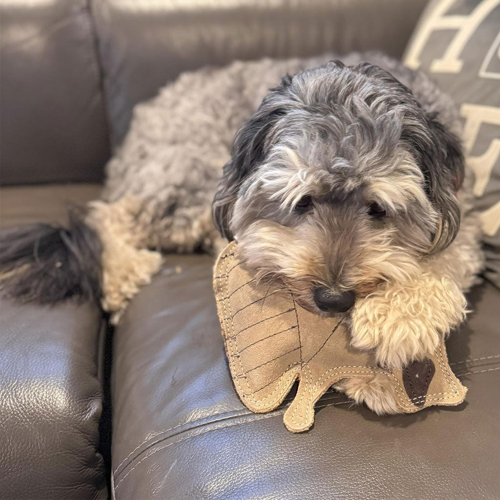 Spot Dura-Fused Leather Retriever Dog Toy - Durable Playtime