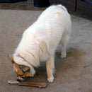 Ethical Pet Spot Dura-Fused Leather Retriever Dog Toy