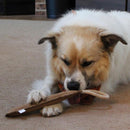 Ethical Pet Spot Dura-Fused Leather Retriever Dog Toy