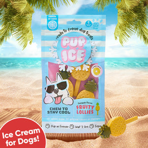Ethical Pup Ice Fruity Lollies Ready to Freeze Dog Treats 3-pack - Dog Treats 1