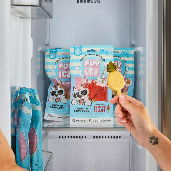 Ethical Pup Ice Fruity Lollies Ready to Freeze Dog Treats Pineapple in freezer