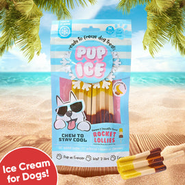 Ethical Pup Ice Rocket Lollies Ready to Freeze Dog Treats 2 pack - Dog Treats 1