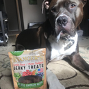 Evanger’s Grain-Free Oven Baked Chicken Recipe Jerky Treats for Dogs (4.5 oz) - Dog Treats 8