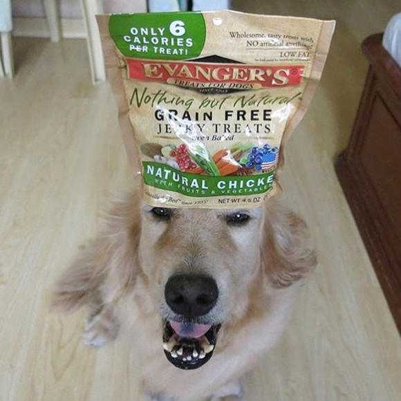 Evanger’s Grain-Free Oven Baked Chicken Recipe Jerky Treats for Dogs (4.5 oz) - Dog Treats 7