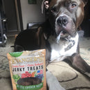 Evanger's Nothing But Natural Holistic Chicken Recipe Jerky Dog Treats (4.5 oz)