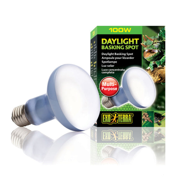 Exo Terra Basking Spot Lamp - 100-watt / Daylight - Reptile & Amphibian Habitat Heating & Lighting 3