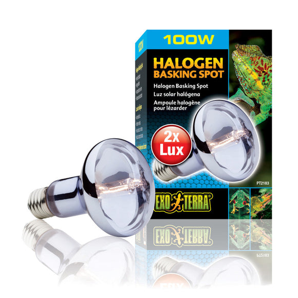 Exo Terra Basking Spot Lamp - 100-watt / Halogen - Reptile & Amphibian Habitat Heating & Lighting 10